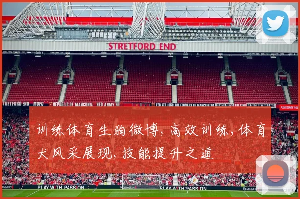 训练体育生狗微博,高效训练,体育犬风采展现,技能提升之道
